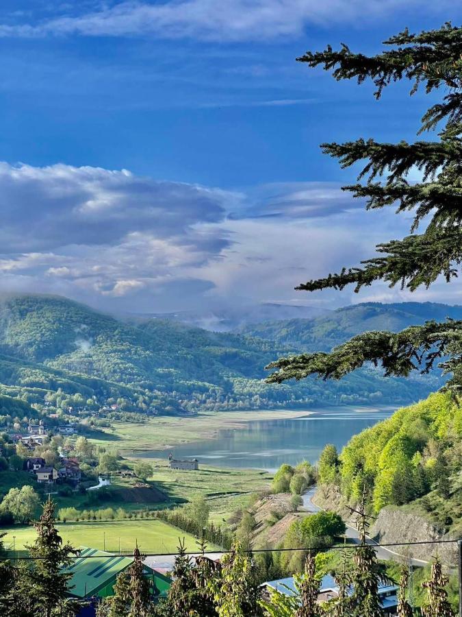Lakeview Hotel & Apartments Mavrovo Exterior foto